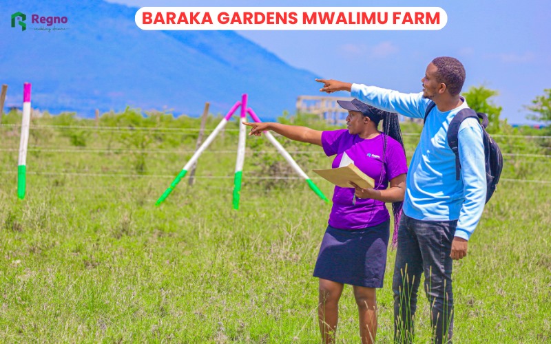 Plots for sale in Mwalimu Farm